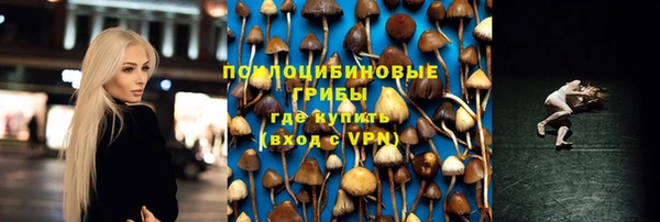соль ск Медвежьегорск
